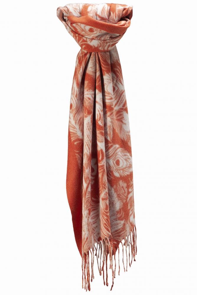 ΠΟΡΤΟΚΑΛΙ ΚΑΣΚΟΛ ΜΕ ΛΕΥΚΑ ΦΤΕΡΑ ΠΑΓΩΝΙΟΥ φωτογραφία